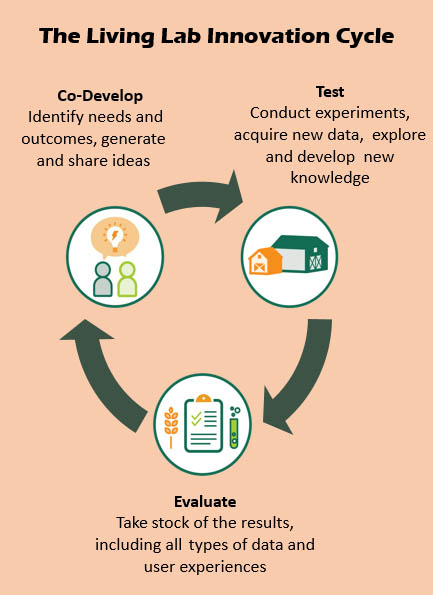 Living Lab Project